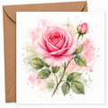 Pink Rose