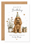Cocker Spaniel