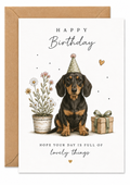 Dachshund