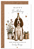 Springer Spaniel